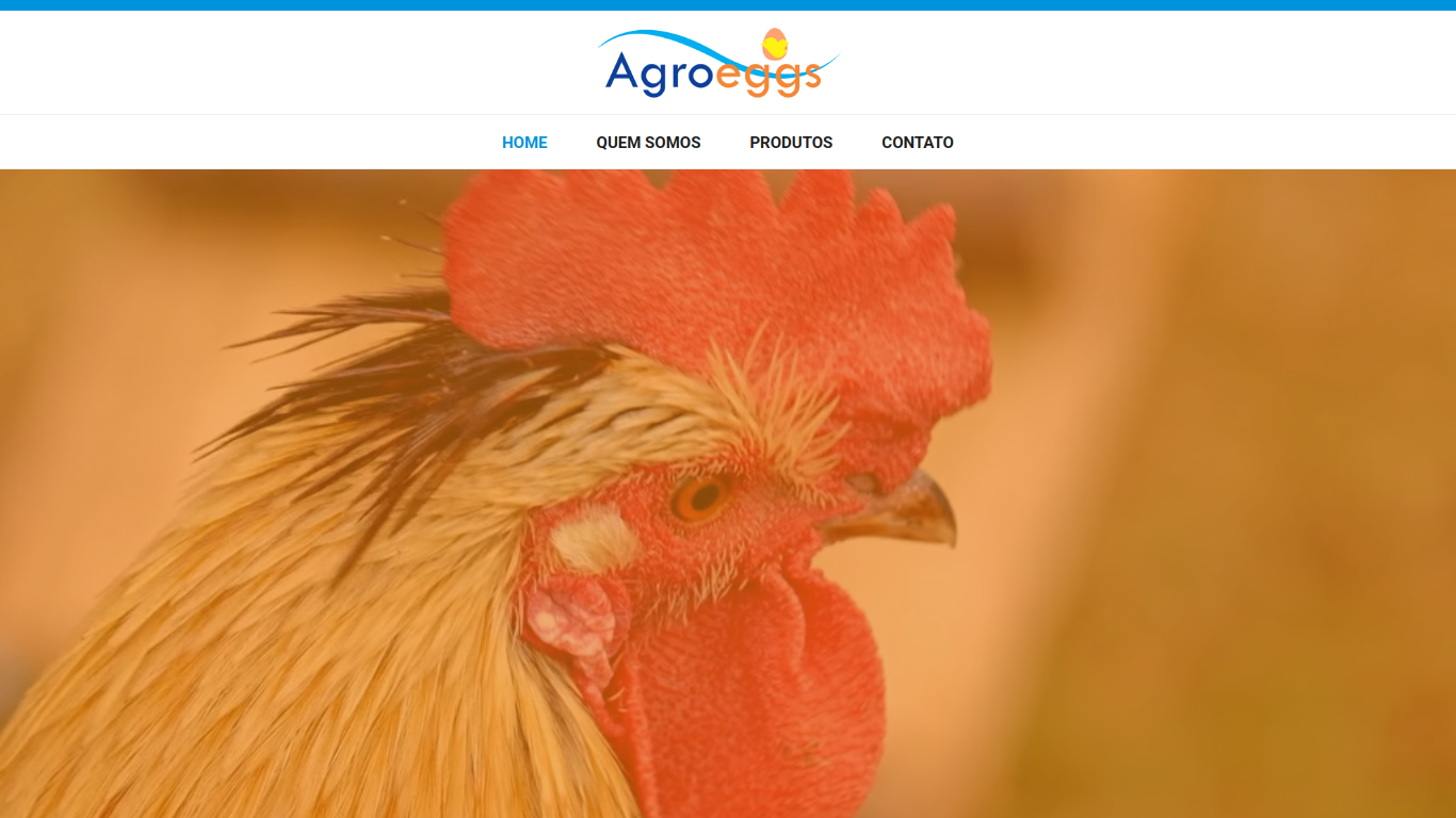 agroeggs.com.br